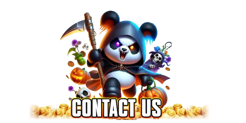 contact us